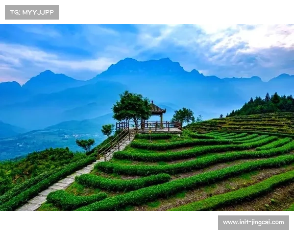 乐山七年坚持体旅融合，大渡河风景道破圈传播