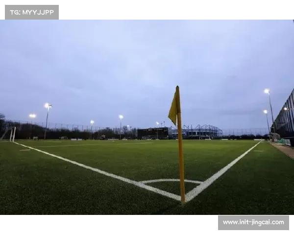 德甲俱乐部开展青少年培训项目，培养未来之星